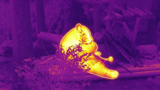 パンダが竹を食べる #ThermaImage #InfraredPanda #エピソード 1