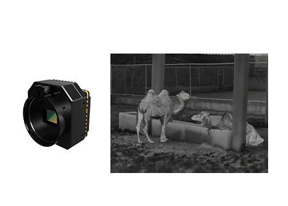 高感度熱セキュリティカメラ 冷却されていない赤外線モジュール