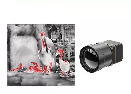 LWIR Thermal Imaging Camera Core With 25Hz/30Hz Frame Rate For ADAS